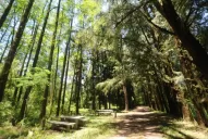 La reserva La Florida se renueva para que la visites