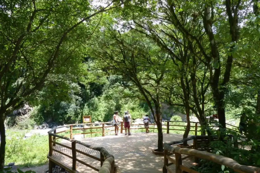 PASARELA. Disfrutá de una vista increíble de las yungas tucumanas. la gaceta / fotos de osvaldo ripoll 