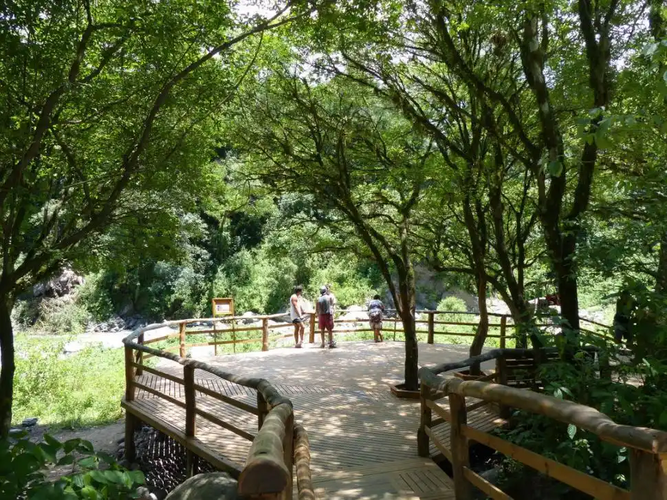 PASARELA. Disfrutá de una vista increíble de las yungas tucumanas. la gaceta / fotos de osvaldo ripoll 