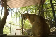 Volver a la infancia te va a tomar 40 minutos