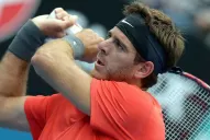 Del Potro subió al cuarto puesto del ránking