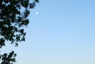 Las sorpresas que atesora el caribe mexicano