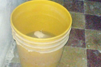 Un bebé de 10 meses murió ahogado luego de caer a un balde con agua