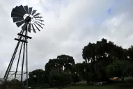 Las dulzuras del molino