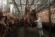 Un frigorífico tucumano realizará obras para mejorar su condición sanitaria