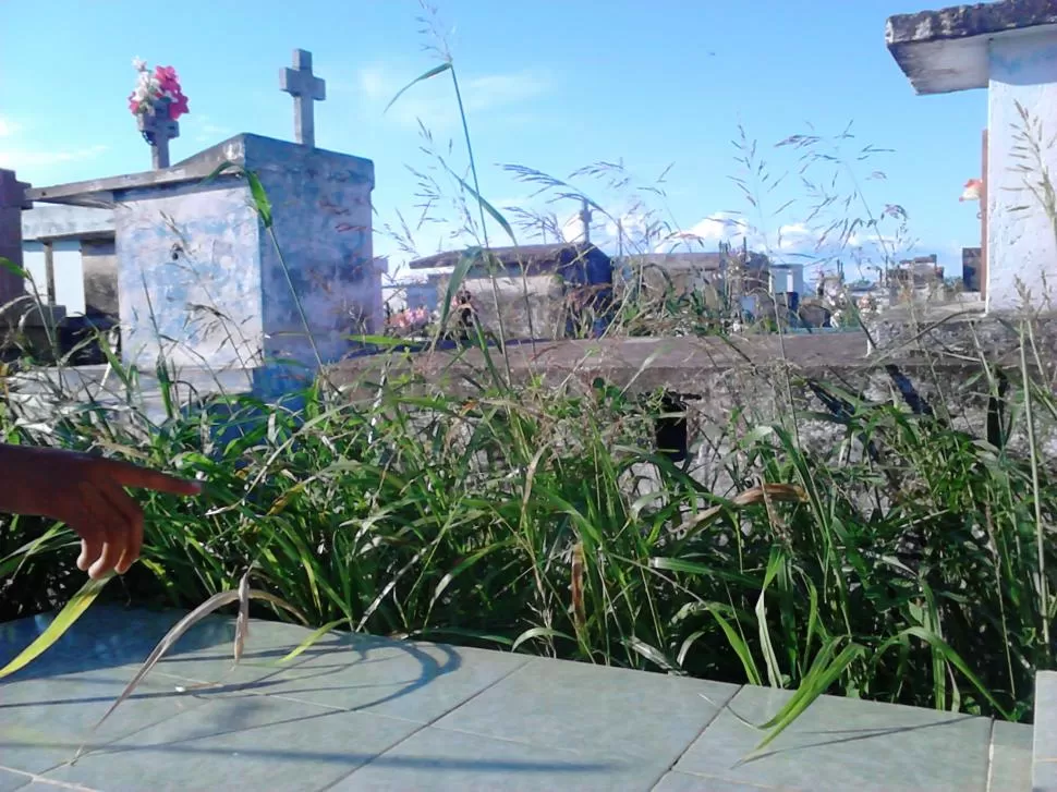 El Olvido del Cementerio El Cochuchal 