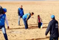 La imagen que conmueve al mundo: el niño que cruzó solo el desierto para escapar de la guerra