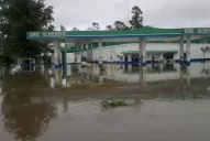 Las fuertes lluvias en el sur de la provincia inundaron Alberdi