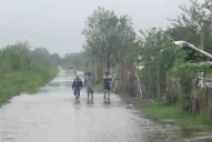 El desmonte desmedido generó la inundación en Alberdi