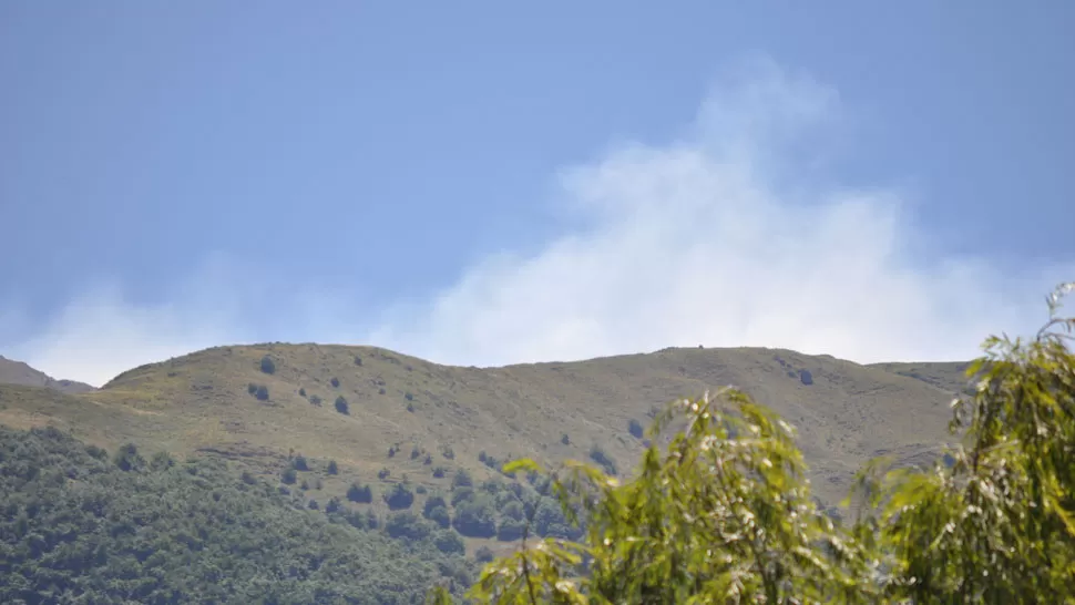 FUEGO. El cerro El Negrito amaneció con un incendio. FOTO DE VICTORIA MAZA