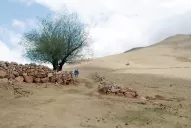 ¿Y si Francisco viene a Tucumán?: Posibles lugares para 2 millones de personas