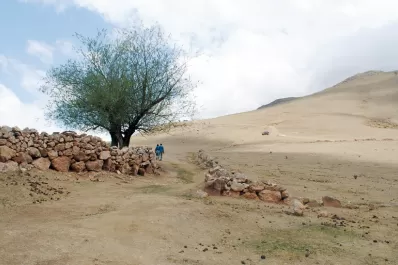 ¿Y si Francisco viene a Tucumán?: Posibles lugares para 2 millones de personas