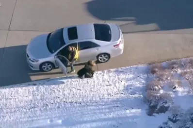 Como en GTA, un sujeto robó dos autos durante una persecución policial