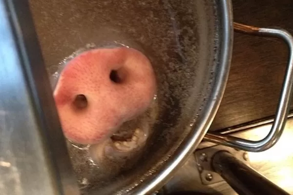 La polémica foto de Narda Lepes que escandaliza las redes sociales