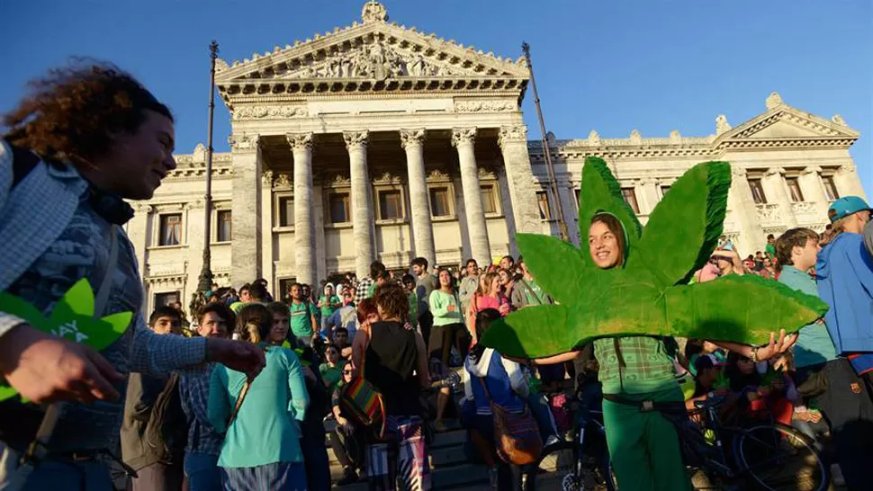 LEGALIZACIÓN. Uruguay es el primer país de Latinoamérica en autorizar la producción y venta de marihuana para consumo personal. FOTO DE AGENCIA AP