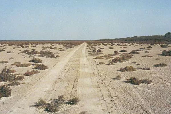 Alarma el aumento del consumo de cocaína en el interior Santiago del Estero