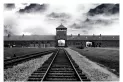 En una región verde, Auschwitz es lo más parecido a una estepa desolada