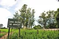 Al no conseguir terrenos, renuncian al Procrear