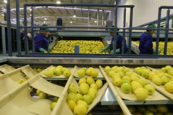 Otro paso hacia el reingreso del limón a los Estados Unidos