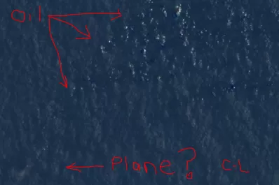 Courtney Love asegura que encontró el avión de Malaysia Airlines