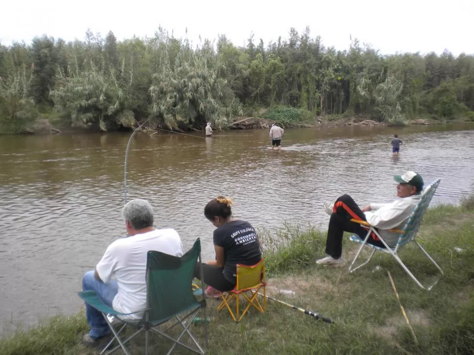 UNA IMAGEN POCO COMÚN. Pescadores e integrantes de un grupo ecologista compatieron una jornada inolvidable en El Mollar, localidad cercana a Bella Vista. 
