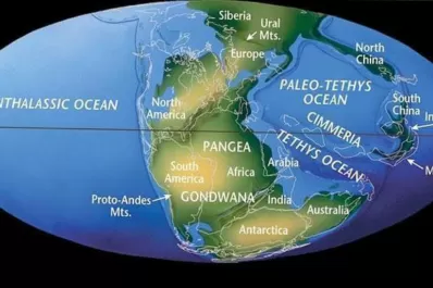 Una parte de África descansa en Estados Unidos