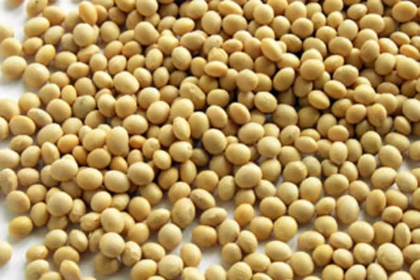 Se impone un modelo “sojaexportador”