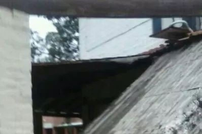 Cayó parte de un techo en la Facultad de Agronomía