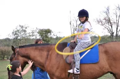 Volvieron a robar un caballo usado para ayudar a niños enfermos