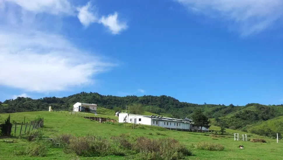 ALTA ESCUELA. En este paraíso entre el llano y el Valle de Tafí, el clima obliga a los escolares a ir a a las aulas en verano. En invierno, no hay clases. LA GACETA / FOTO DE DAVID CORREA
