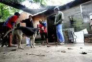 Estudian y les dan pelea a los males de la piel