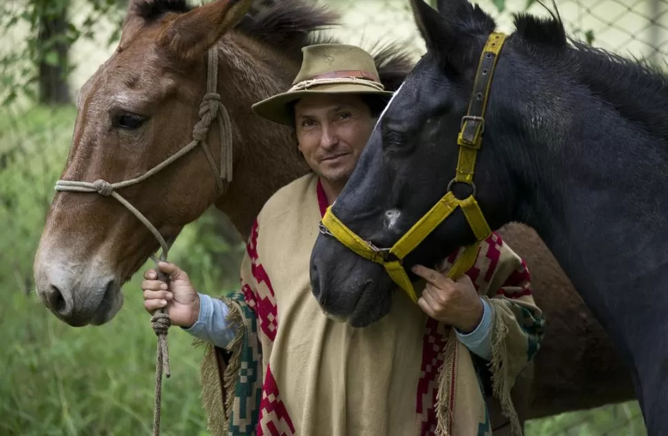 TROTAMUNDOS. El gaucho Olmedo, junto a Gitana (mula) y Pablito (caballo), hizo una escala en El Cadillal. LA GACETA / FOTO DE  JORGE OLMOS SGROSSO