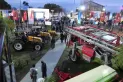 Sabores, shows y caballos peruanos: qué podés hacer en la Expo día por día