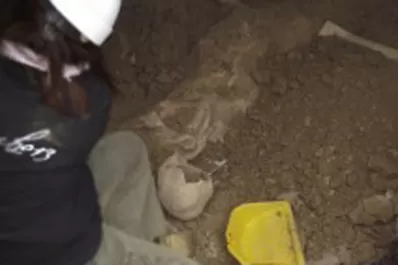 Encontraron huesos humanos en la excavacción del polideportivo de Santa María