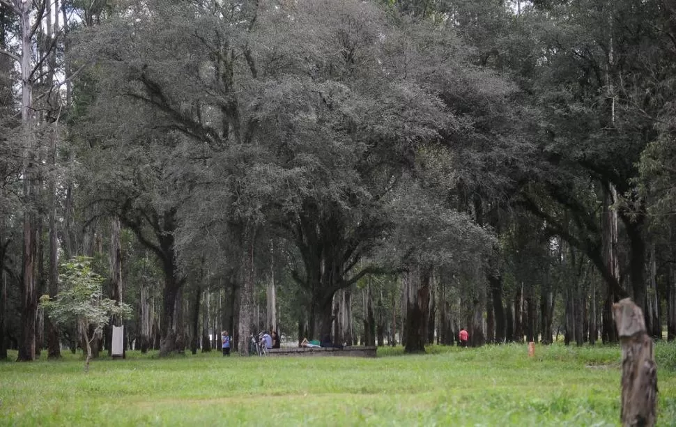A LA VERA DEL GASTONA. El parque de la Joven Argentina es el gran pulmón verde de la Perla del Sur. la gaceta / fotos de osvaldo ripoll 