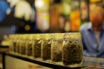 Uruguay venderá marihuana en las farmacias desde el martes a casi un dólar