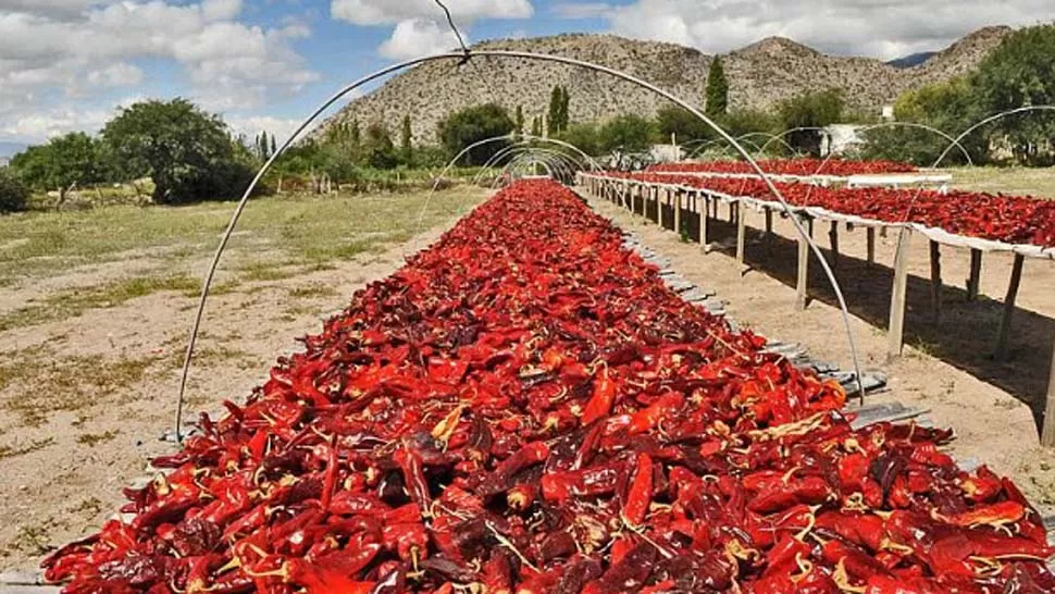 Catamarca, La Rioja y Tucumán, en el documental sobre la Ruta de las Especias