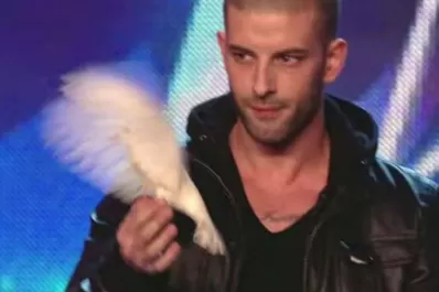 Darcy Oake, el mago cuyo truco dejó al mundo sin palabras