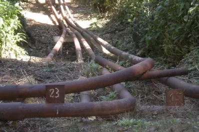 Denuncian que pozos petroleros en el Parque Nacional Calilegua contaminan 200.000 litros de agua por día