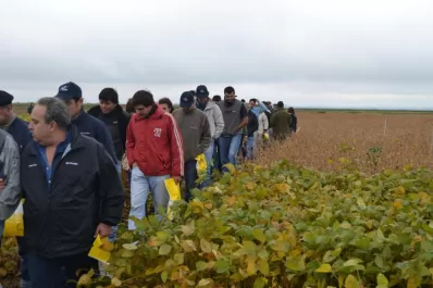La biotecnología es una aliada contra la sequía