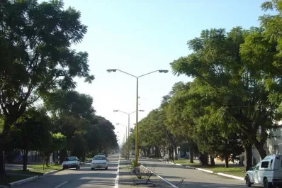 Tafí Viejo se llenará de álamos robustos y lapachos coloridos