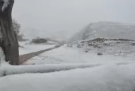 Comenzó la primera nevada del año en Tafí del Valle