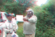 Una muestra de fotografías 3D