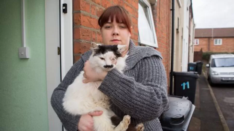 REPUDIABLE. Kirsty Sparrow muestra el daño que recibió su gato Baz. FOTO TOMADA DE  DAILYMAIL.CO.UK
