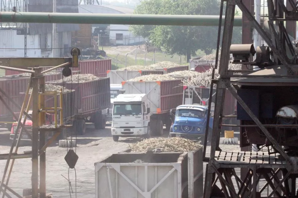 UNA POSTAL INDUSTRIAL. Los camiones cargados ingresan al canchón del ingenio Concepción para depositar la caña que irá a los trapiches. la gaceta / foto de antonio ferroni
