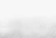 El veterano Wayne Rooney