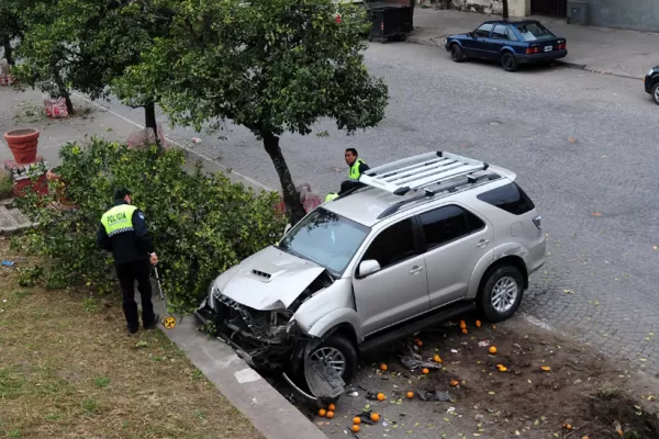Rozó una camioneta, derribó un naranjo y se estrelló contra un paredón