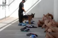 Desnudos, de rodillas y a la intemperie: así requisan a menores en el penal de San Luis