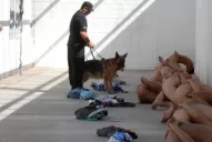 San Luis: echaron al jefe del Servicio Penitenciario luego del escándalo por las fotos de tormentos a presos