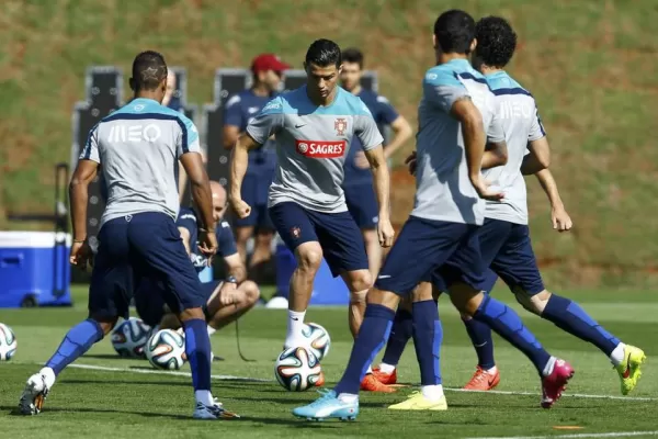 ¿Será el rey de la selva?